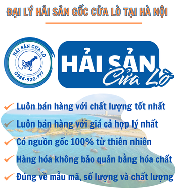 Hải sản Cửa Lò